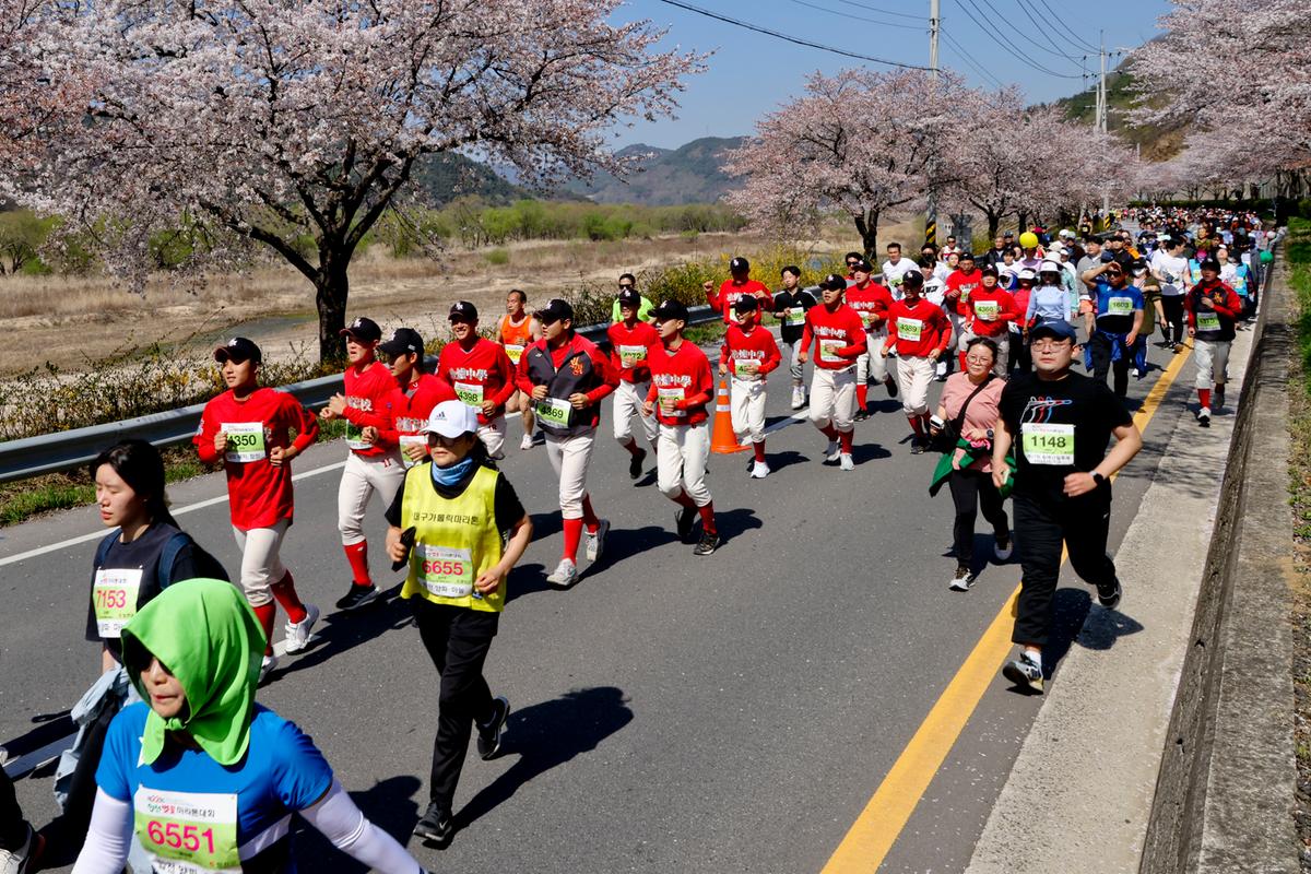 제22회 합천벚꽃마라톤 대회