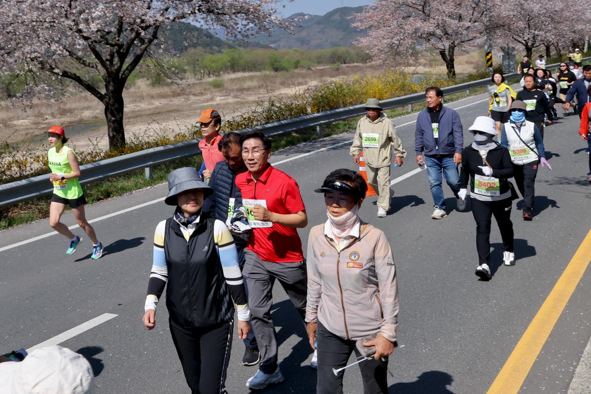 제22회 합천벚꽃마라톤 대회