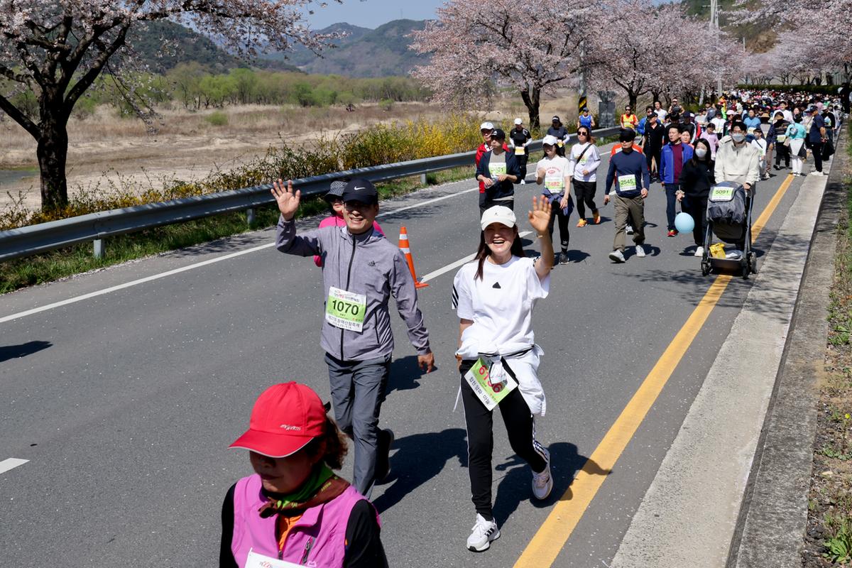 제22회 합천벚꽃마라톤 대회