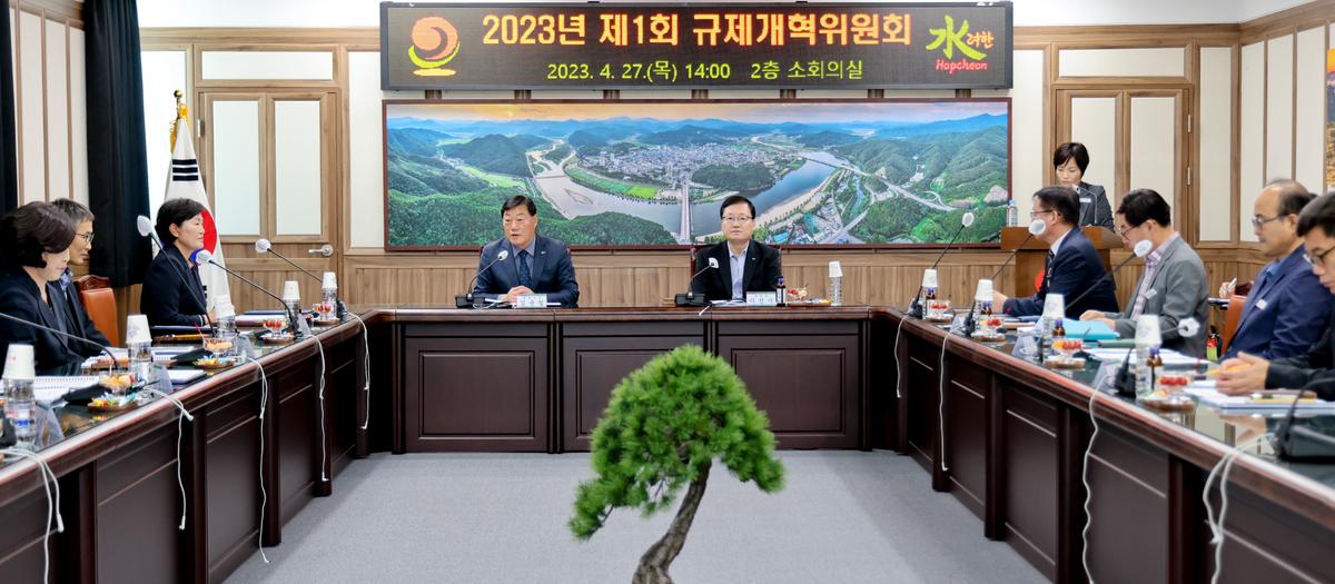 제1회 규제개혁위원회