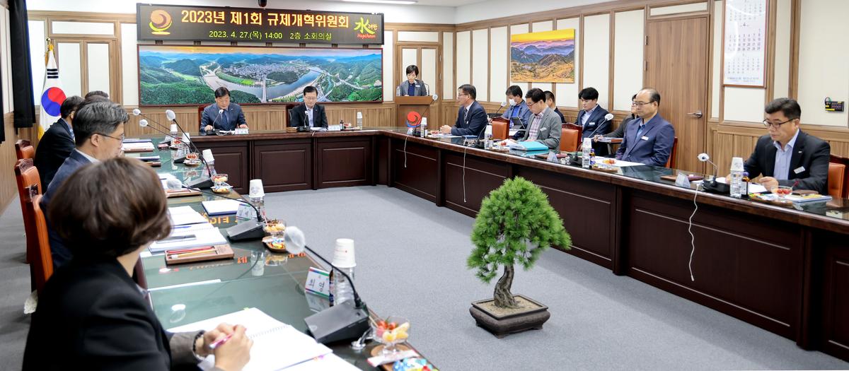 제1회 규제개혁위원회