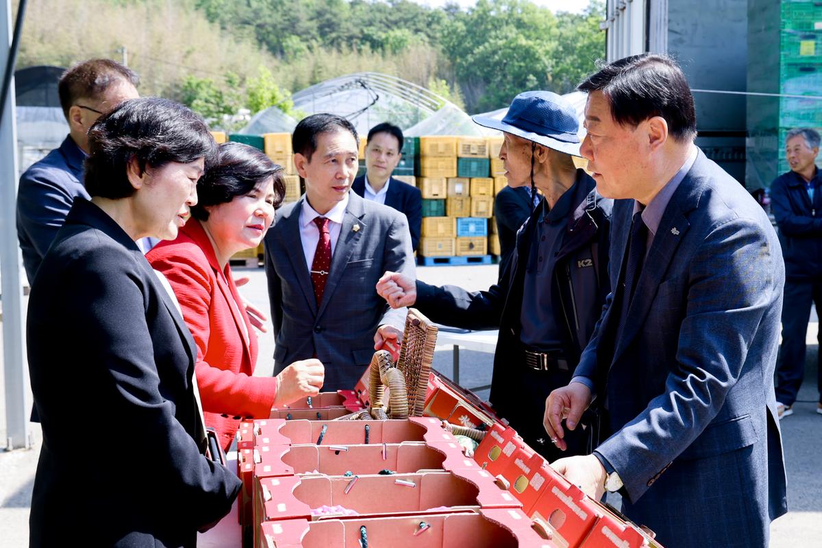 애플수박 첫출하 기념식
