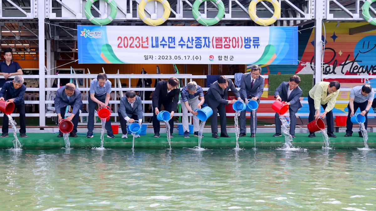 합천호 뱀장어 치어방류 행사