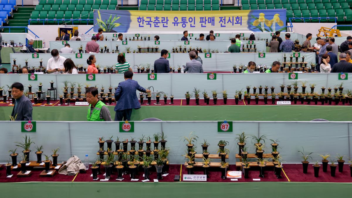 제7회 난인의날 FESTIVAL 개회식