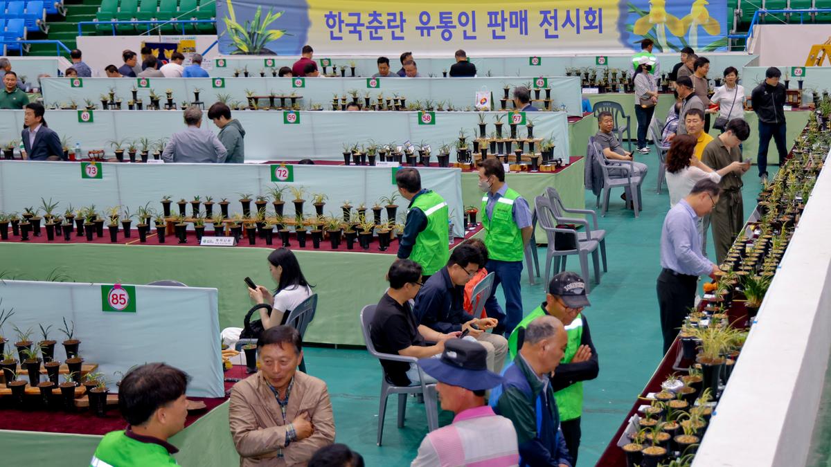 제7회 난인의날 FESTIVAL 개회식