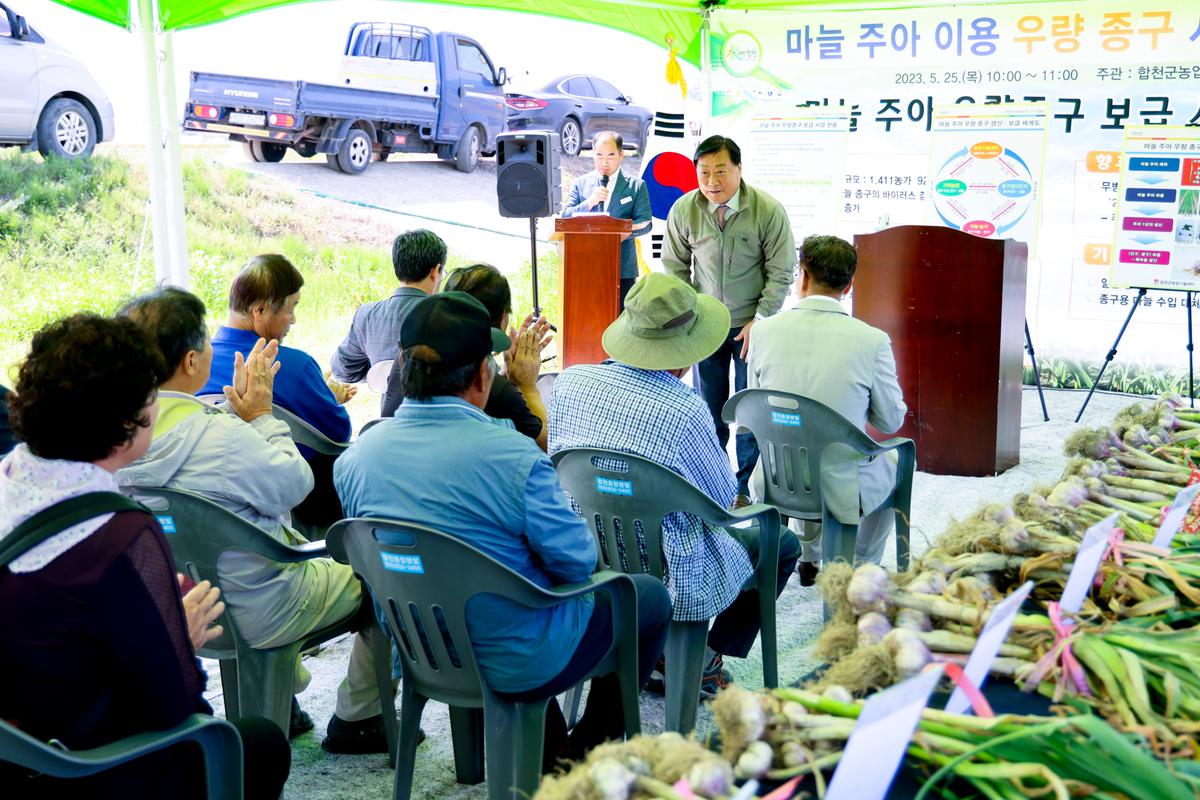 마늘 주아 이용 우량 종구보급사업 현장 평가회