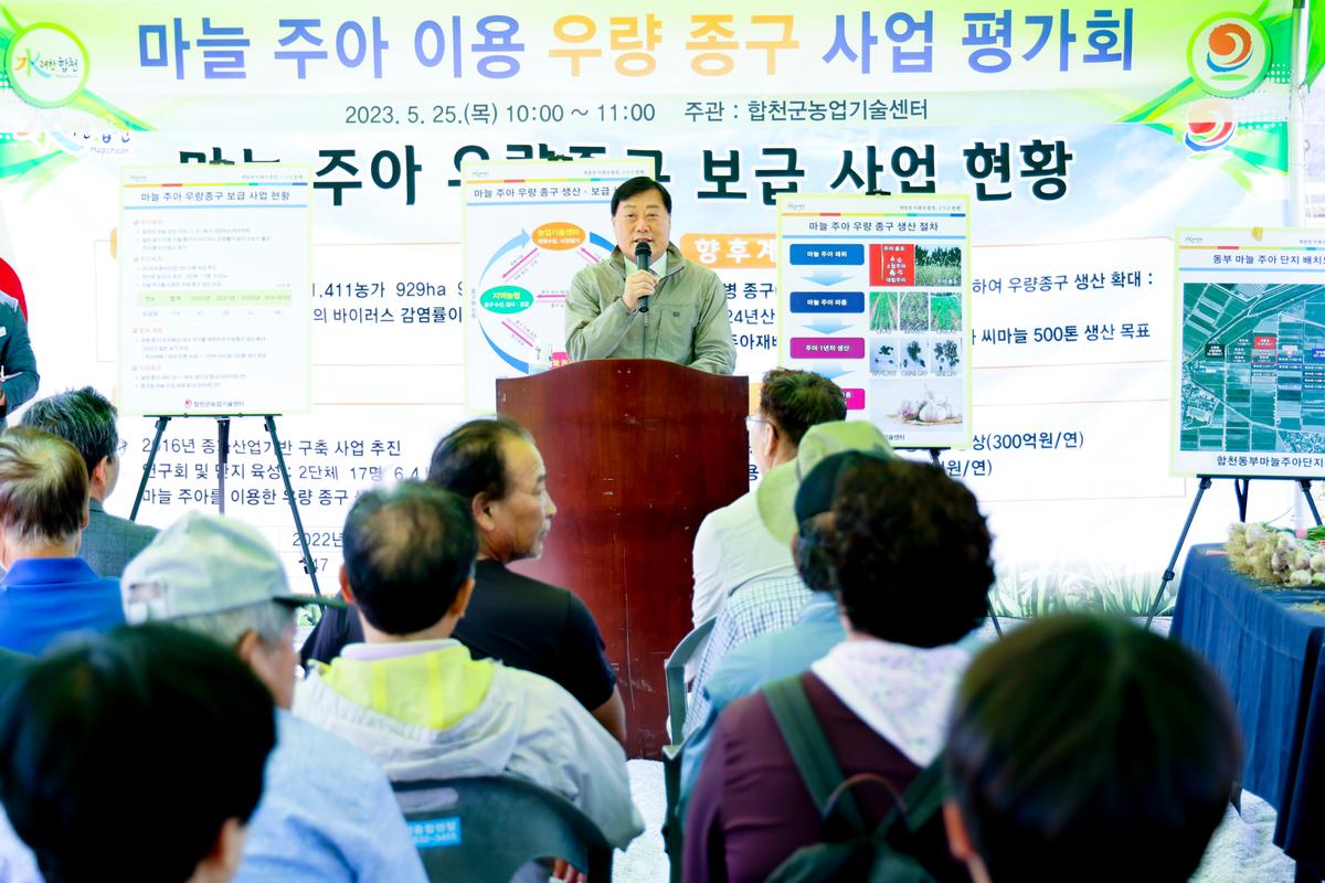 마늘 주아 이용 우량 종구보급사업 현장 평가회