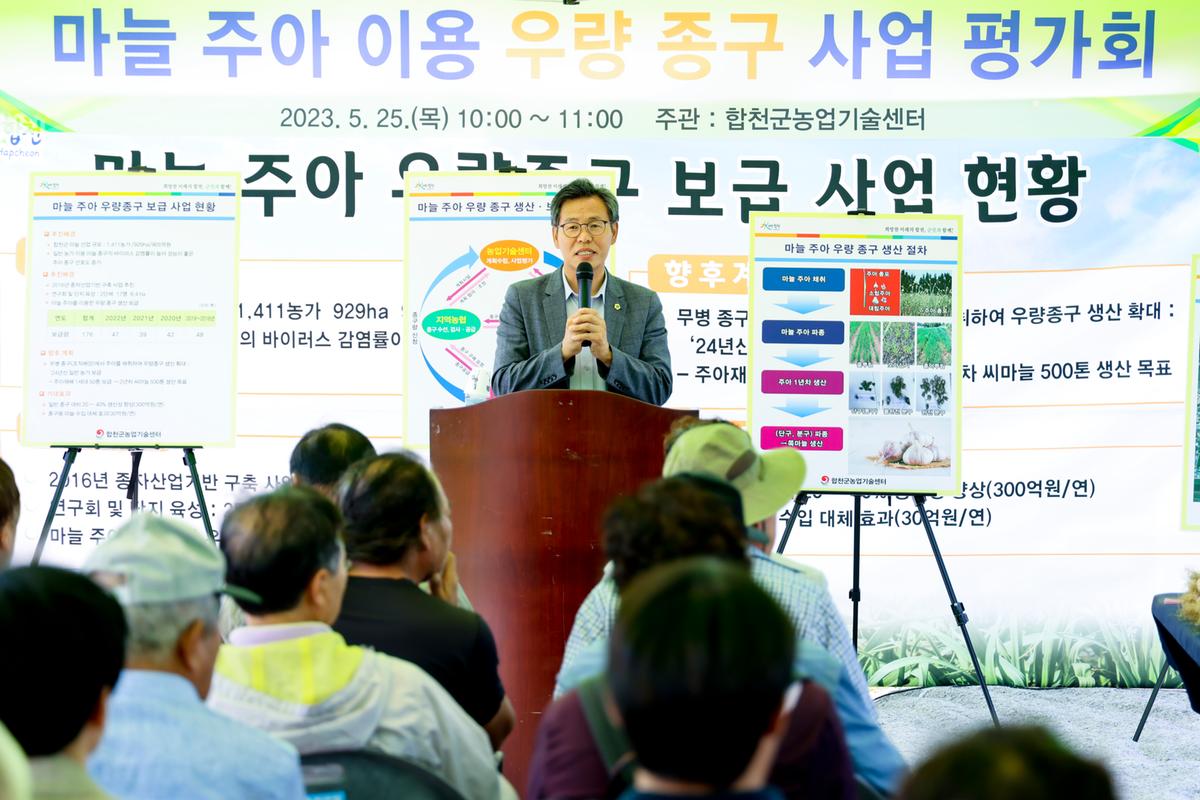 마늘 주아 이용 우량 종구보급사업 현장 평가회