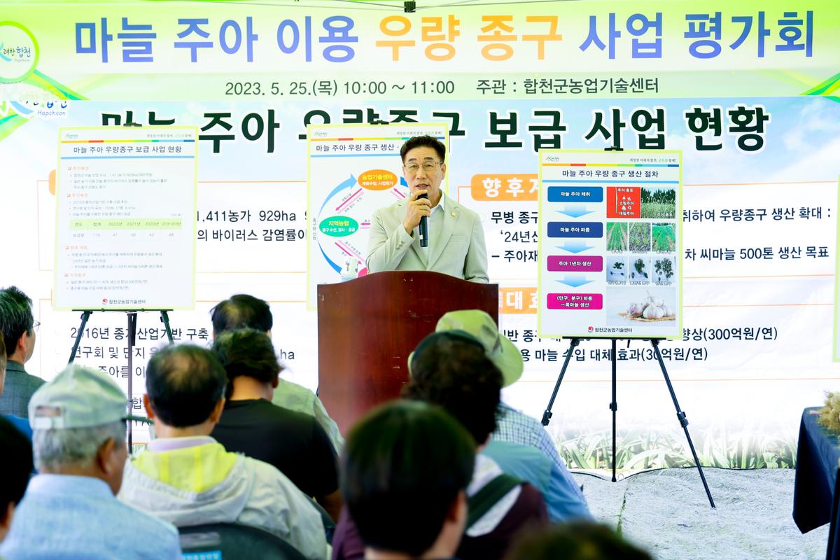 마늘 주아 이용 우량 종구보급사업 현장 평가회