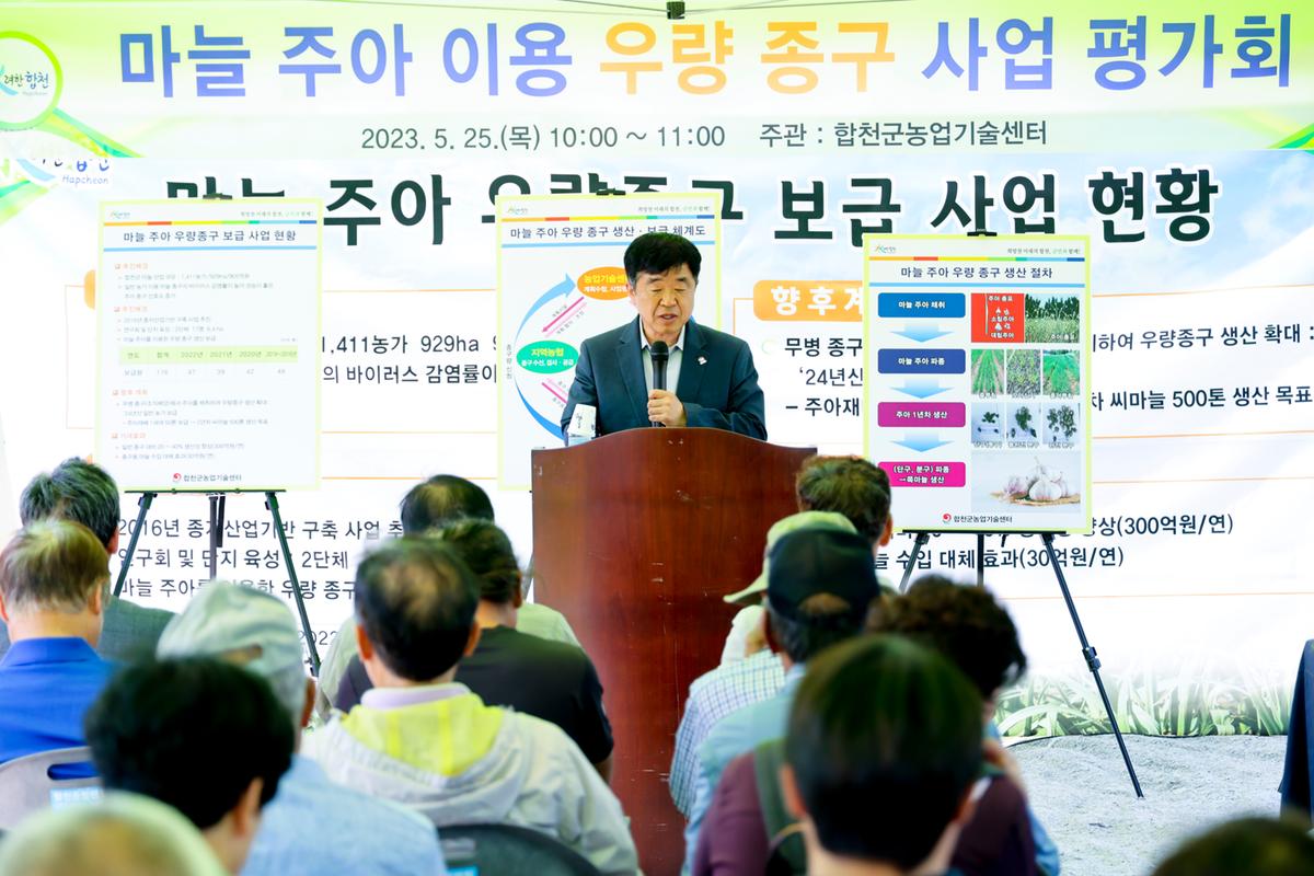 마늘 주아 이용 우량 종구보급사업 현장 평가회