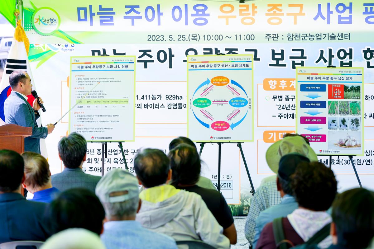 마늘 주아 이용 우량 종구보급사업 현장 평가회