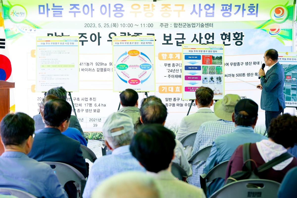 마늘 주아 이용 우량 종구보급사업 현장 평가회