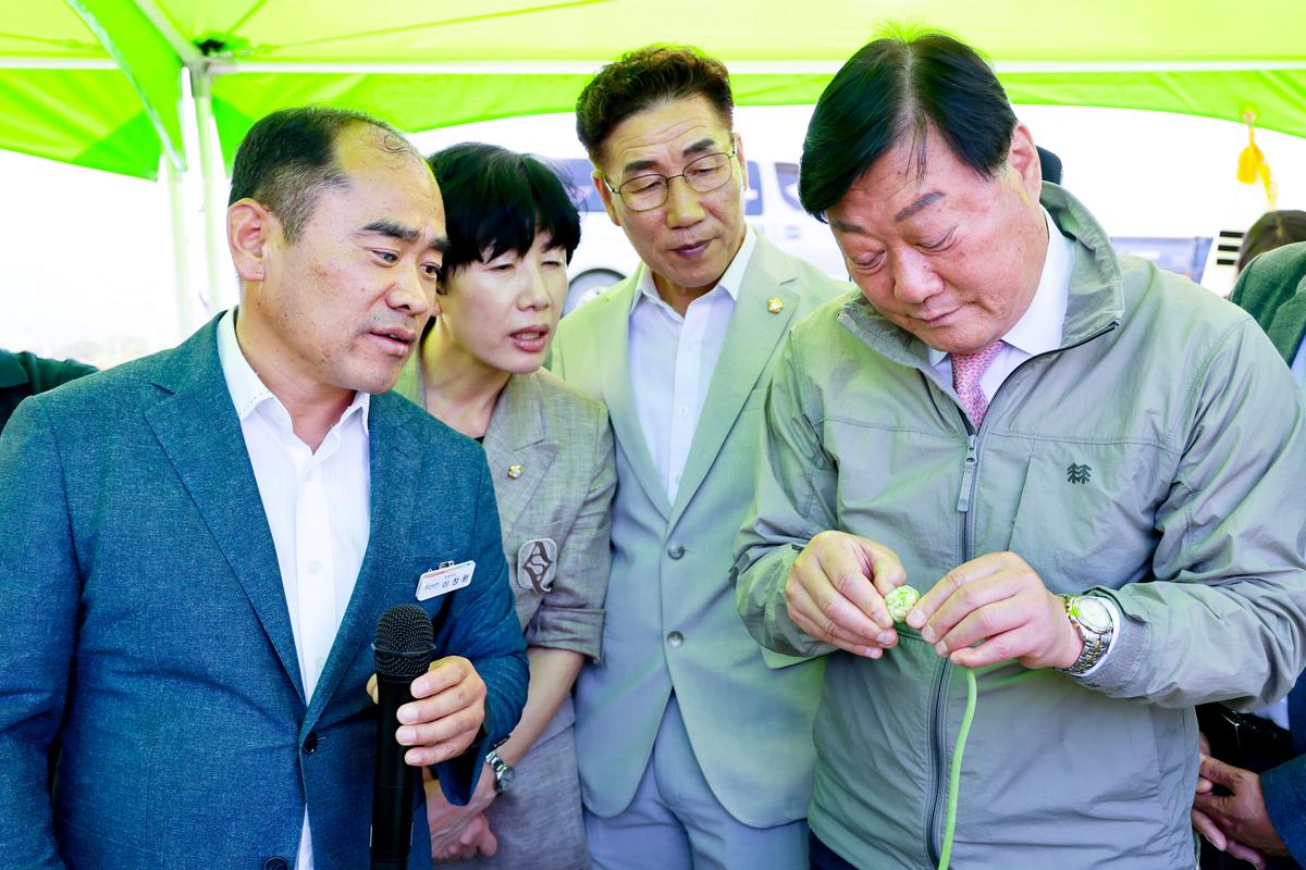 마늘 주아 이용 우량 종구보급사업 현장 평가회