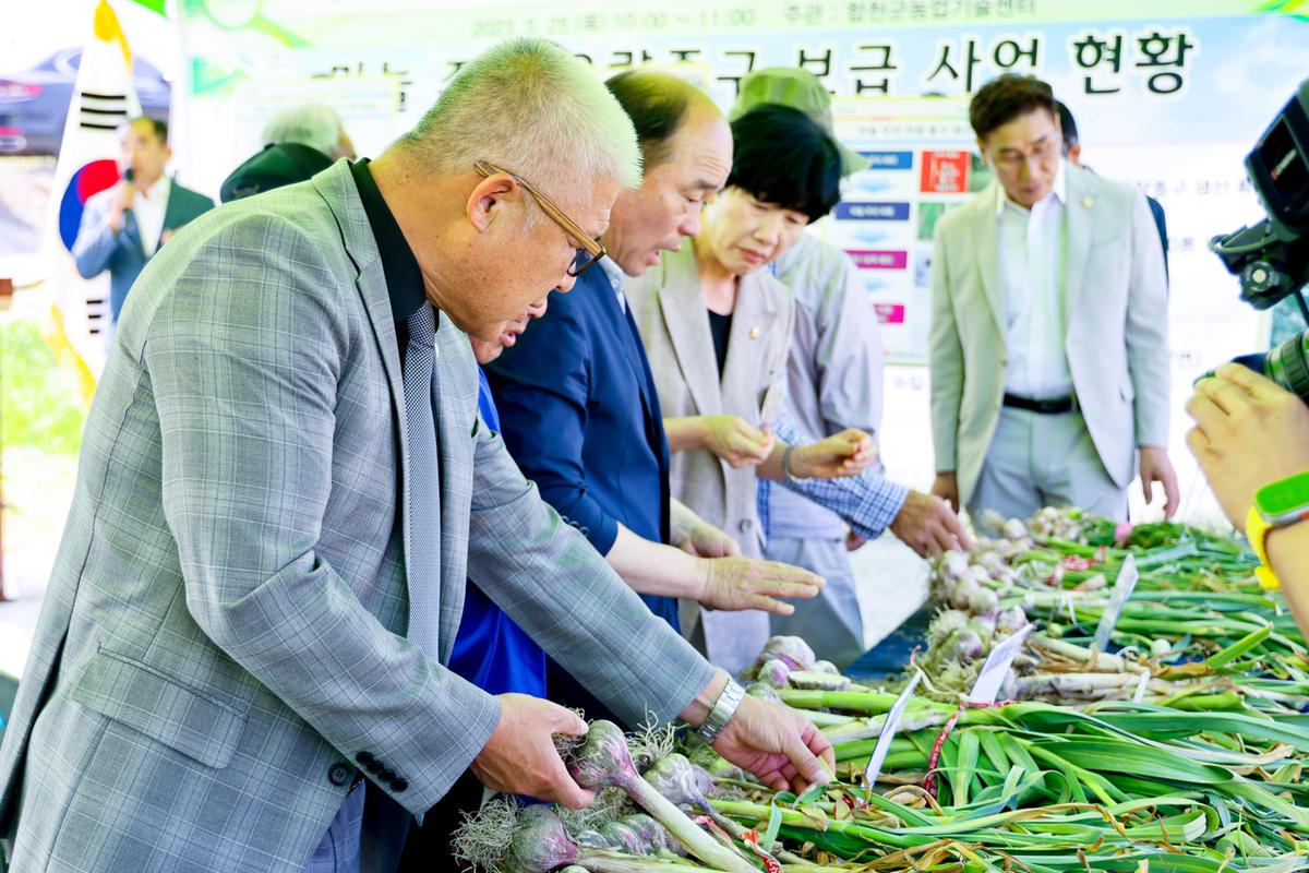 마늘 주아 이용 우량 종구보급사업 현장 평가회