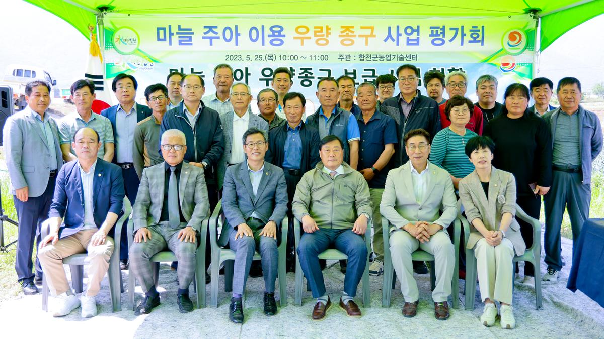 마늘 주아 이용 우량 종구보급사업 현장 평가회
