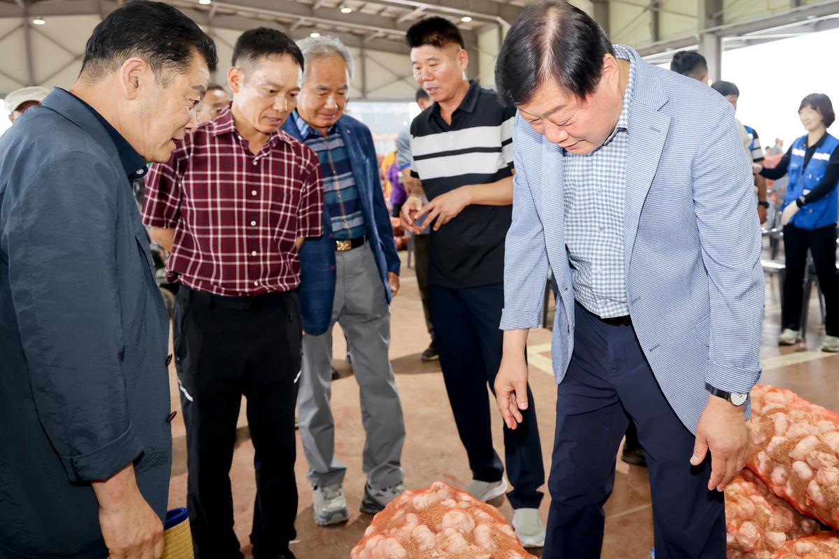합천동부농협 초매식