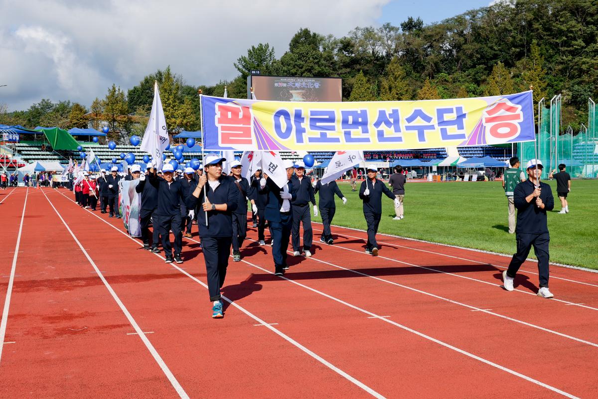 제34회 군민의 날 제24회 군민체육대회 제39회 대야문화제 서막식1