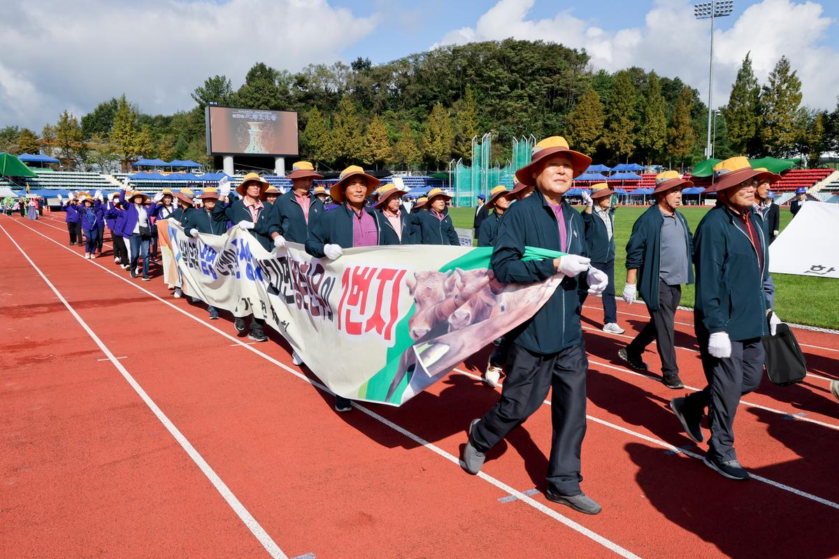 제34회 군민의 날 제24회 군민체육대회 제39회 대야문화제 서막식1