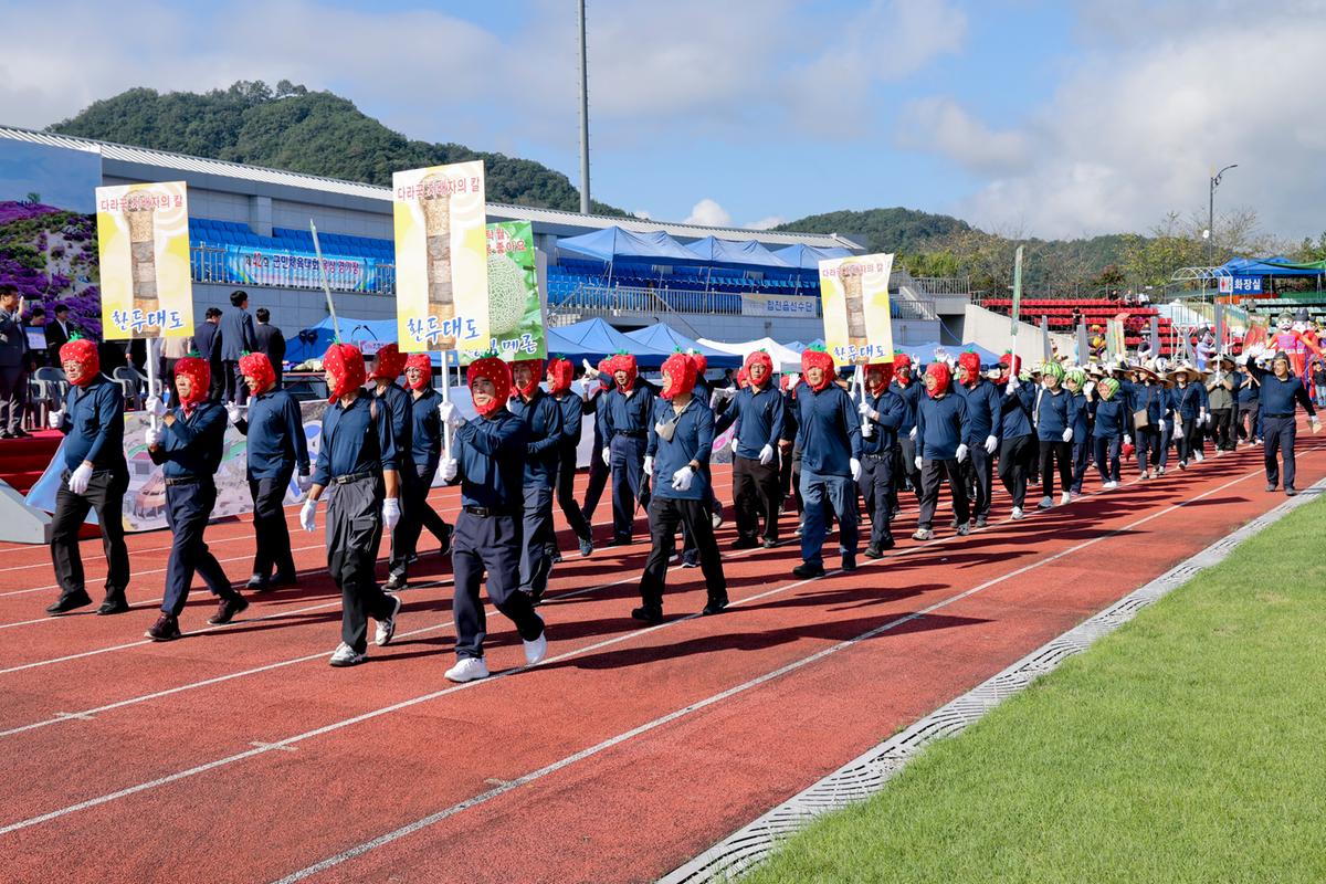 제34회 군민의 날 제24회 군민체육대회 제39회 대야문화제 서막식1
