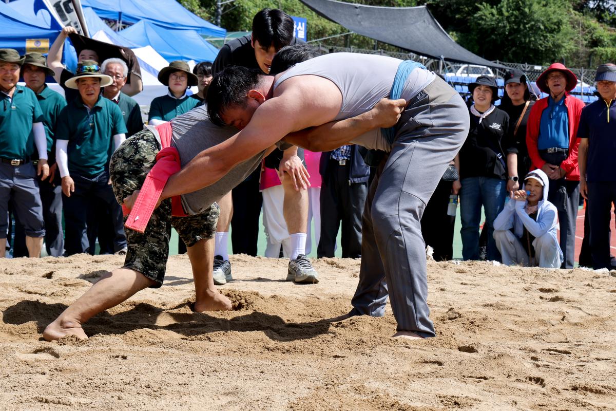 제34회 군민의 날 제24회 군민체육대회 제39회 대야문화제 서막식2