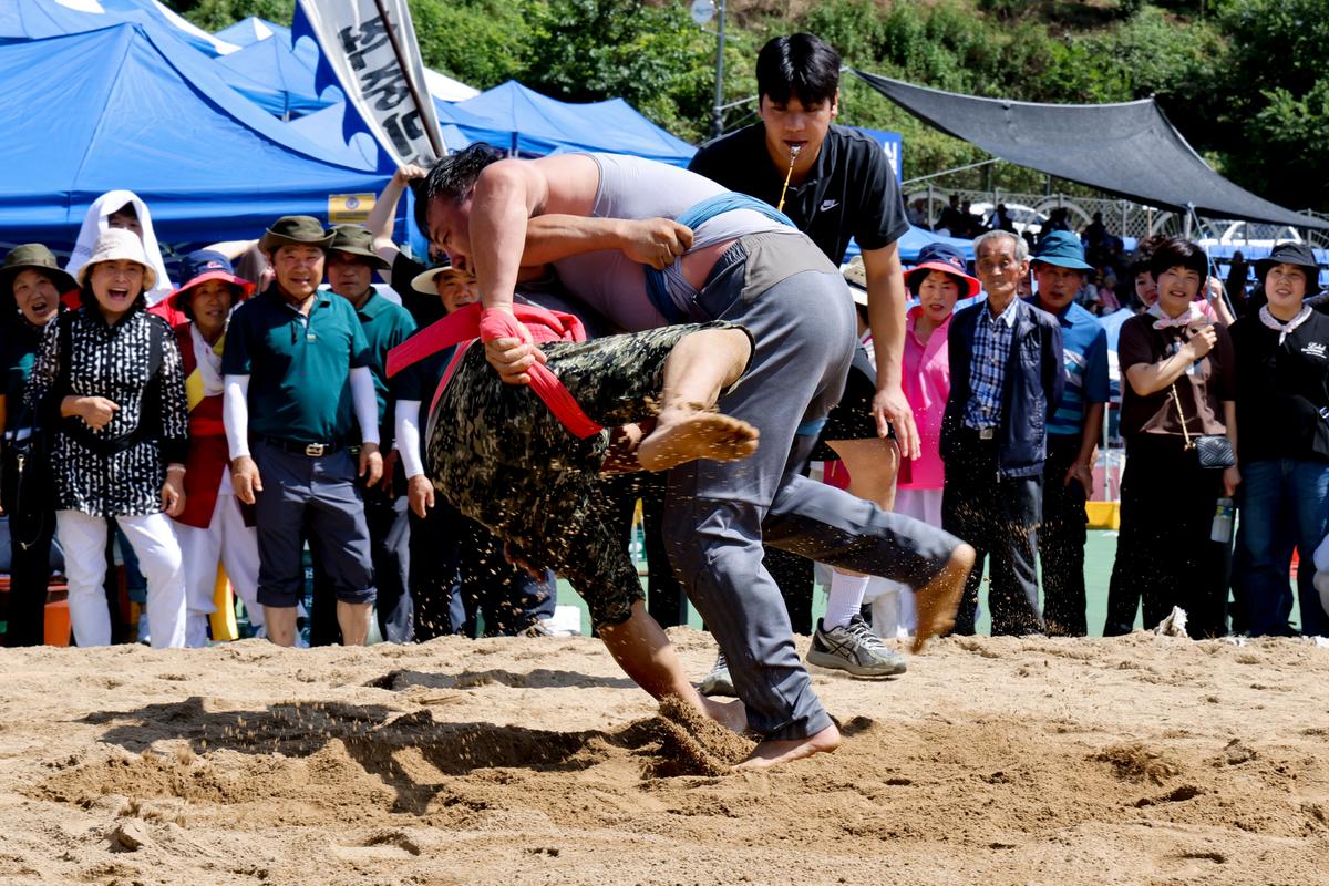제34회 군민의 날 제24회 군민체육대회 제39회 대야문화제 서막식2
