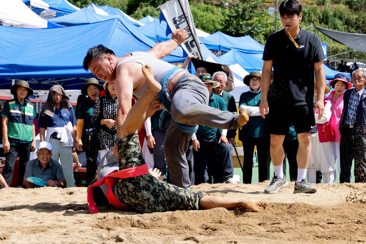 제34회 군민의 날 제24회 군민체육대회 제39회 대야문화제 서막식2