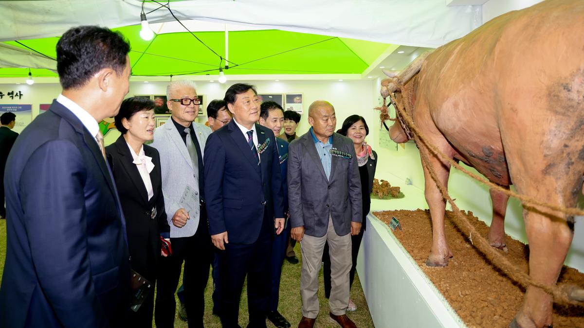 제1회 합천황토한우축제 개막식