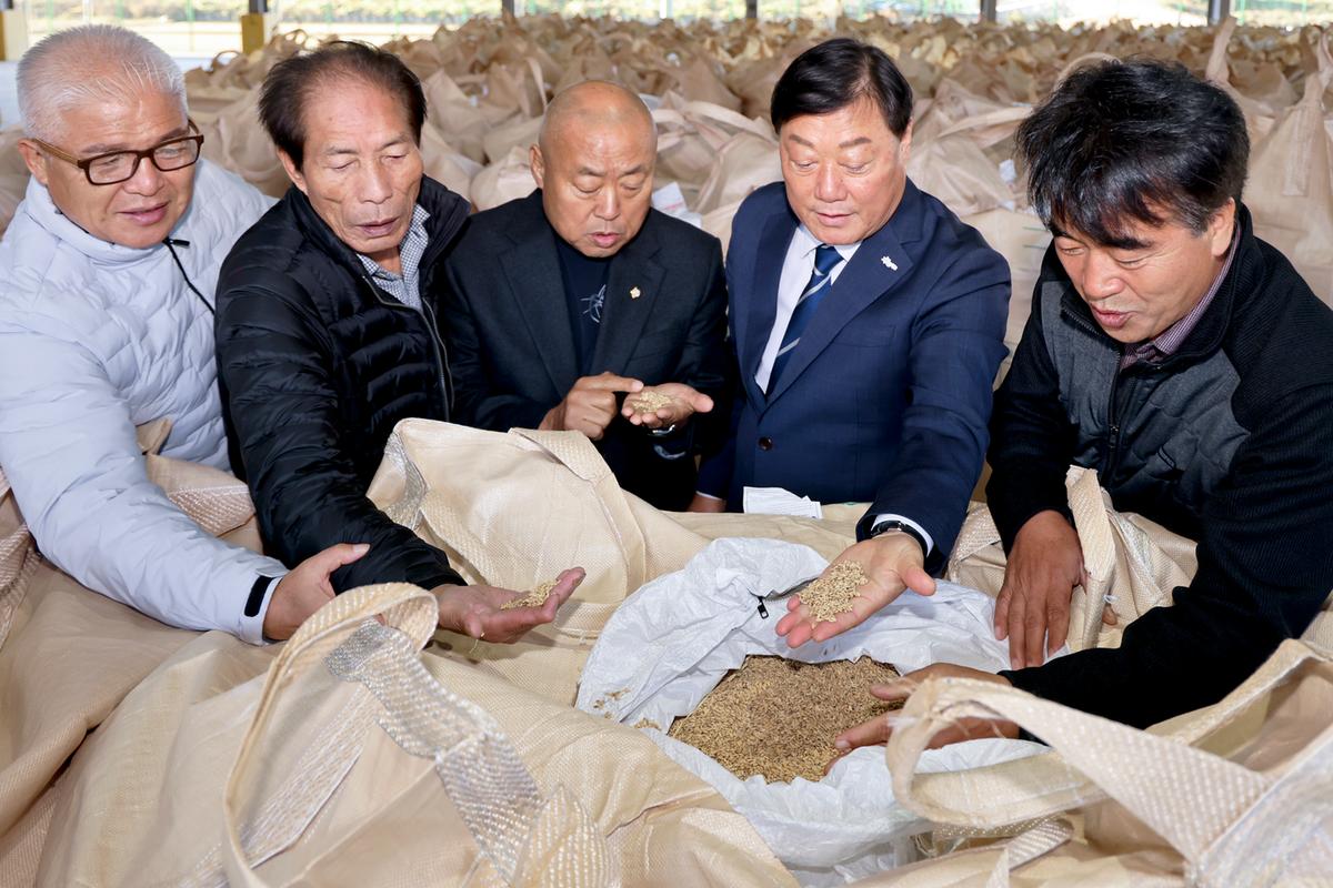 공공비축미곡 초매식