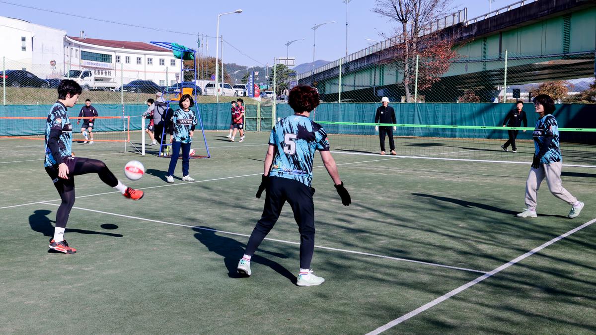 제17회 합천군 생활체육대회