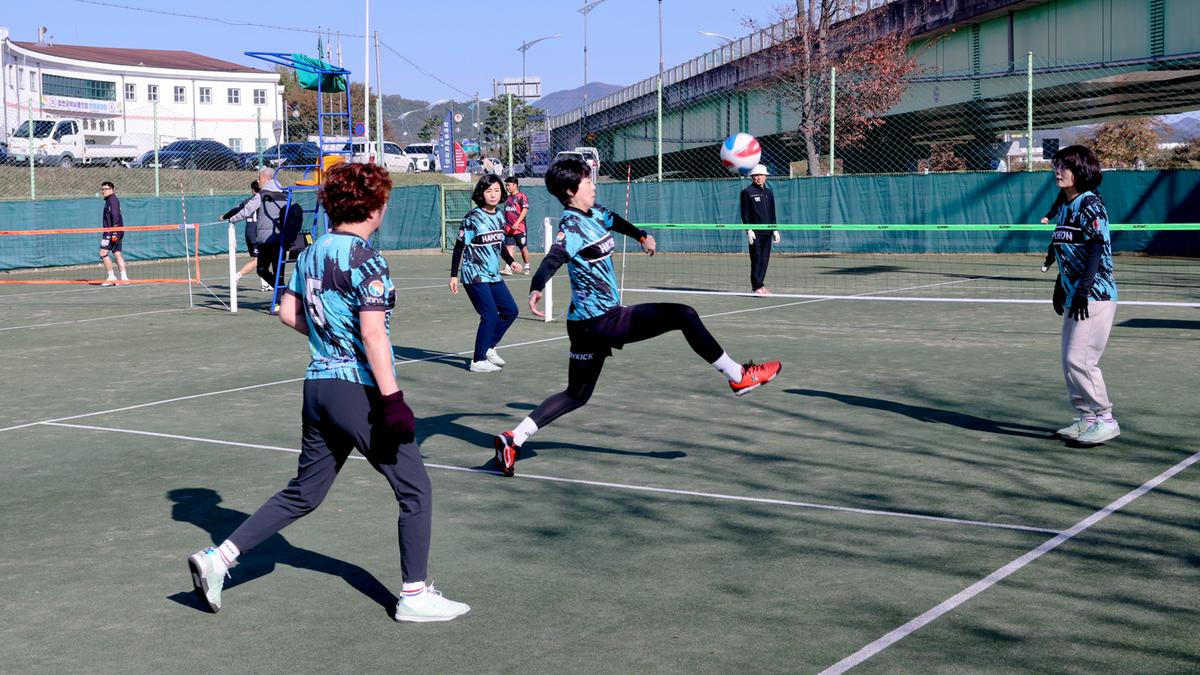 제17회 합천군 생활체육대회