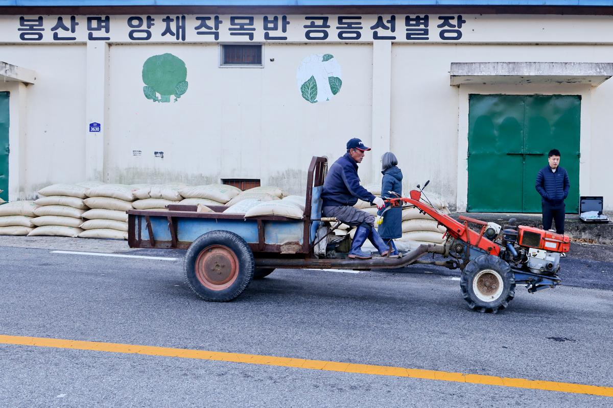 봉산면 공비축미곡 수매 현장 방문