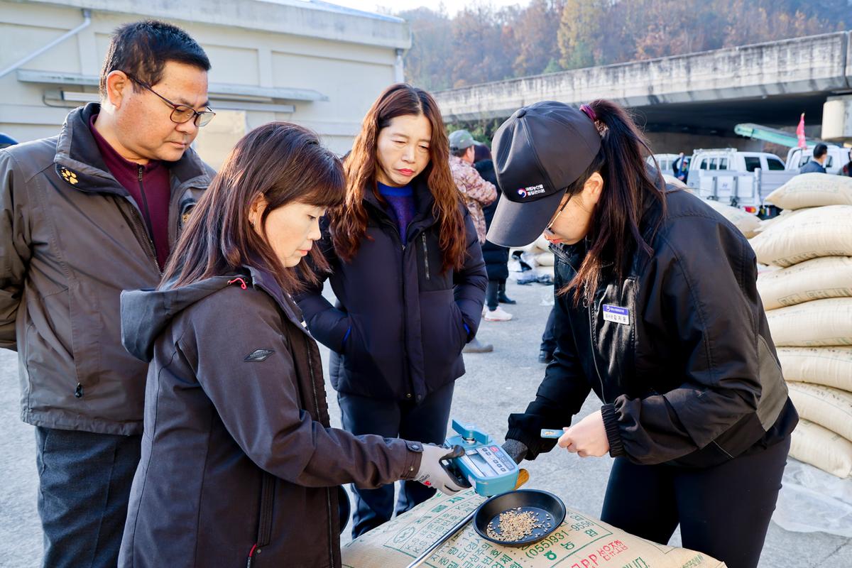 대양면 공공비축미곡 수매 현장 방문