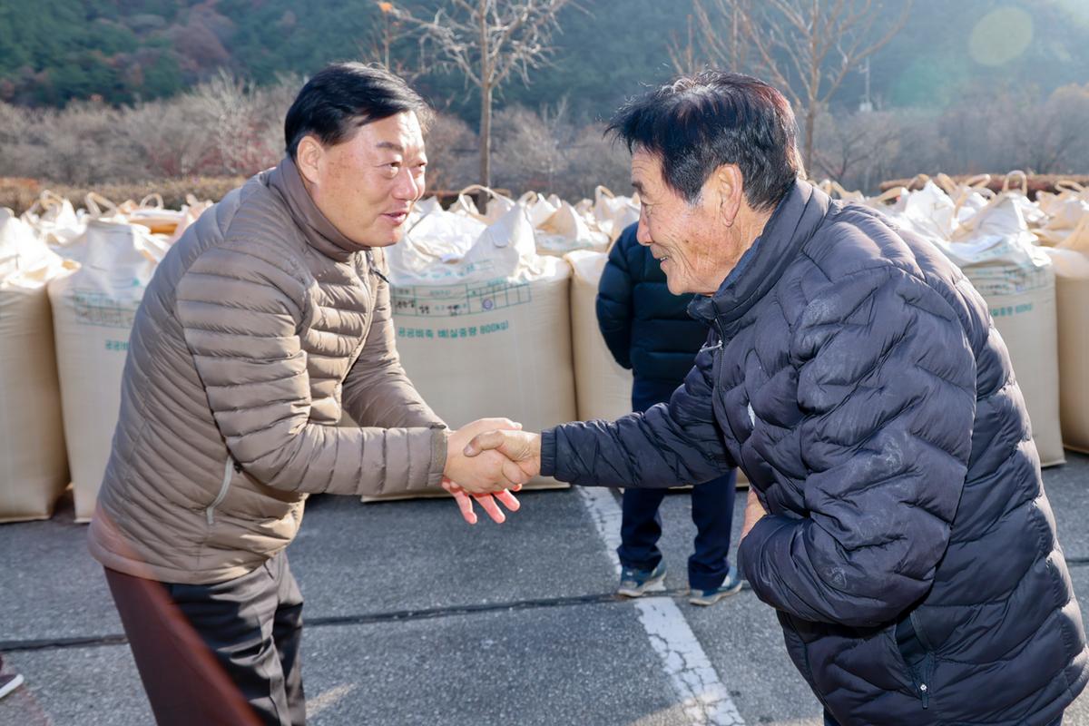 쌍백,대병 수매현장