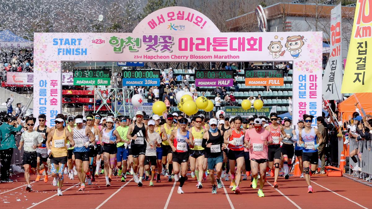 제23회 합천 벚꽃마라톤대회1