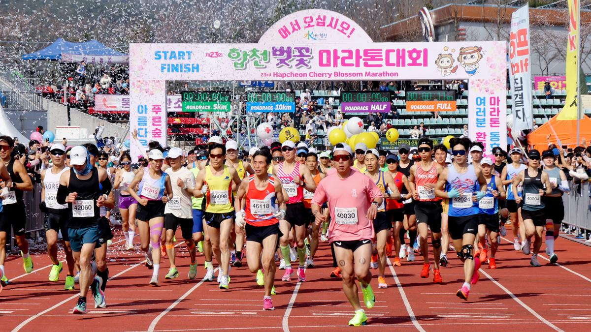 제23회 합천 벚꽃마라톤대회1