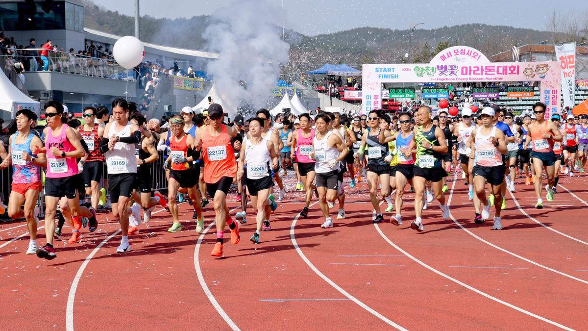 제23회 합천 벚꽃마라톤대회1