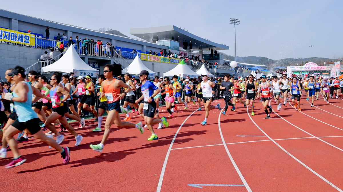 제23회 합천 벚꽃마라톤대회1