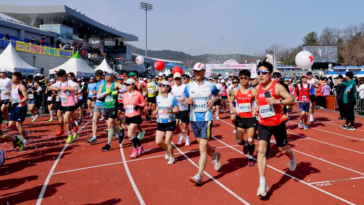 제23회 합천 벚꽃마라톤대회1