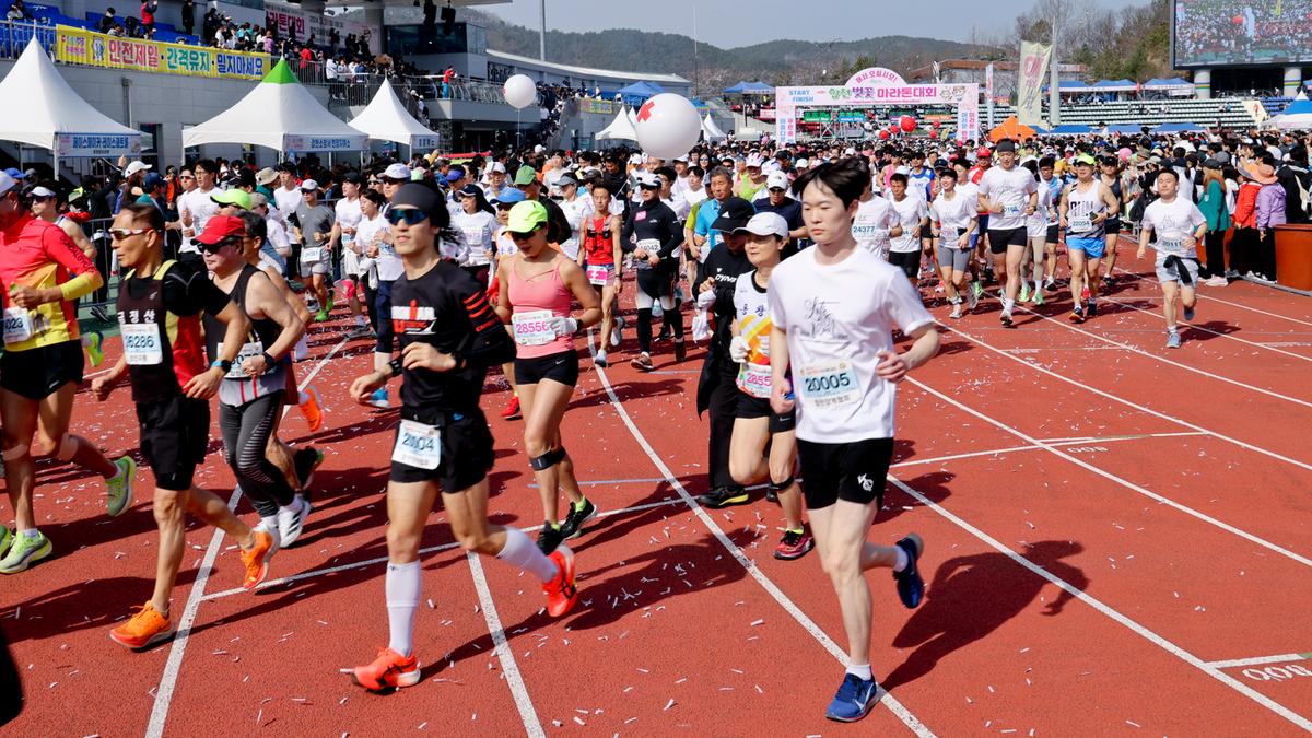 제23회 합천 벚꽃마라톤대회1