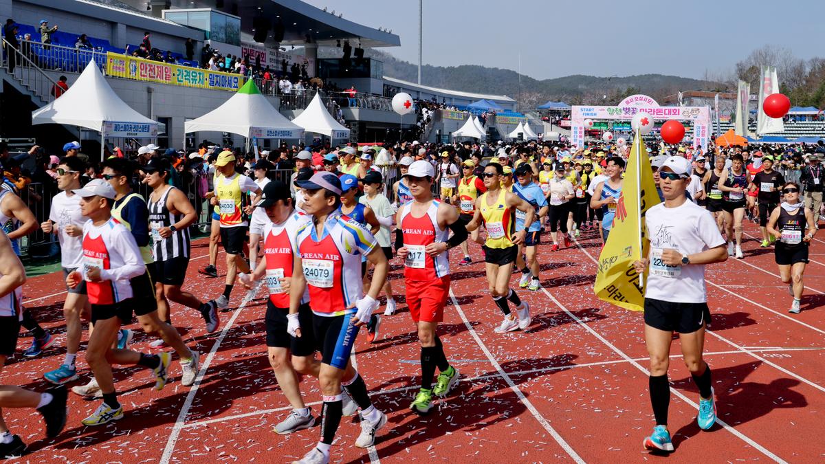 제23회 합천 벚꽃마라톤대회1