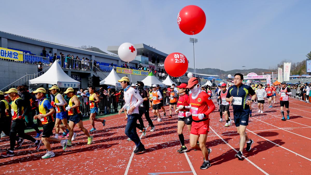 제23회 합천 벚꽃마라톤대회1