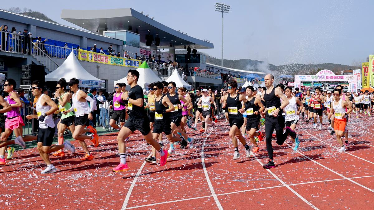 제23회 합천 벚꽃마라톤대회1