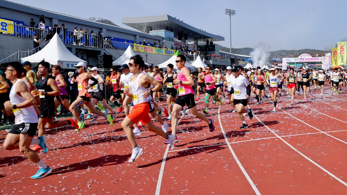 제23회 합천 벚꽃마라톤대회1