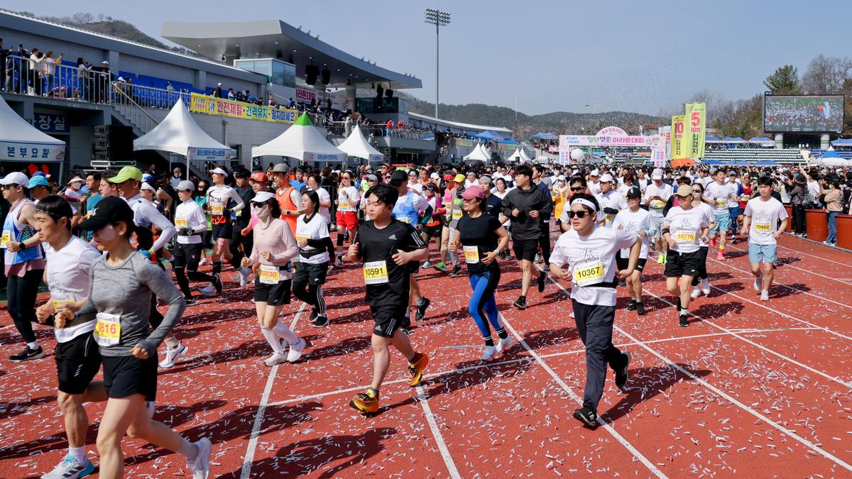 제23회 합천 벚꽃마라톤대회1