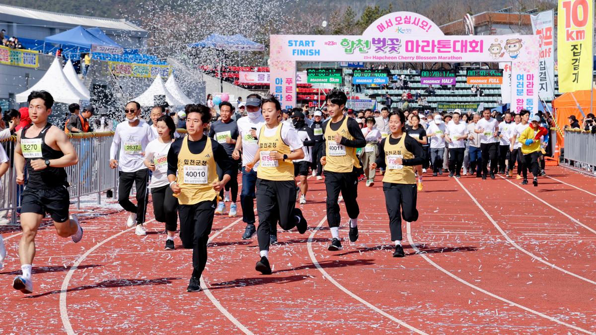 제23회 합천 벚꽃마라톤대회1