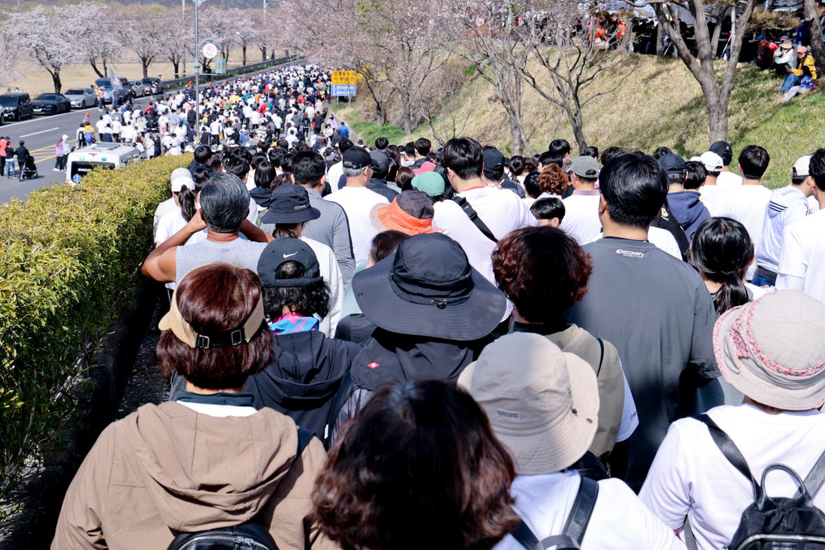 제23회 합천 벚꽃마라톤대회1
