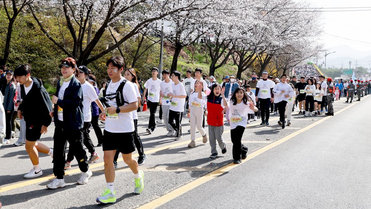 제23회 합천 벚꽃마라톤대회1