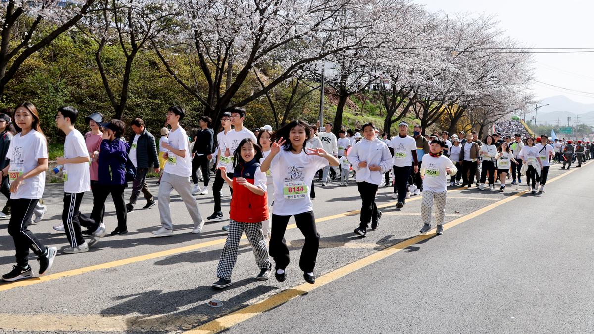 제23회 합천 벚꽃마라톤대회1