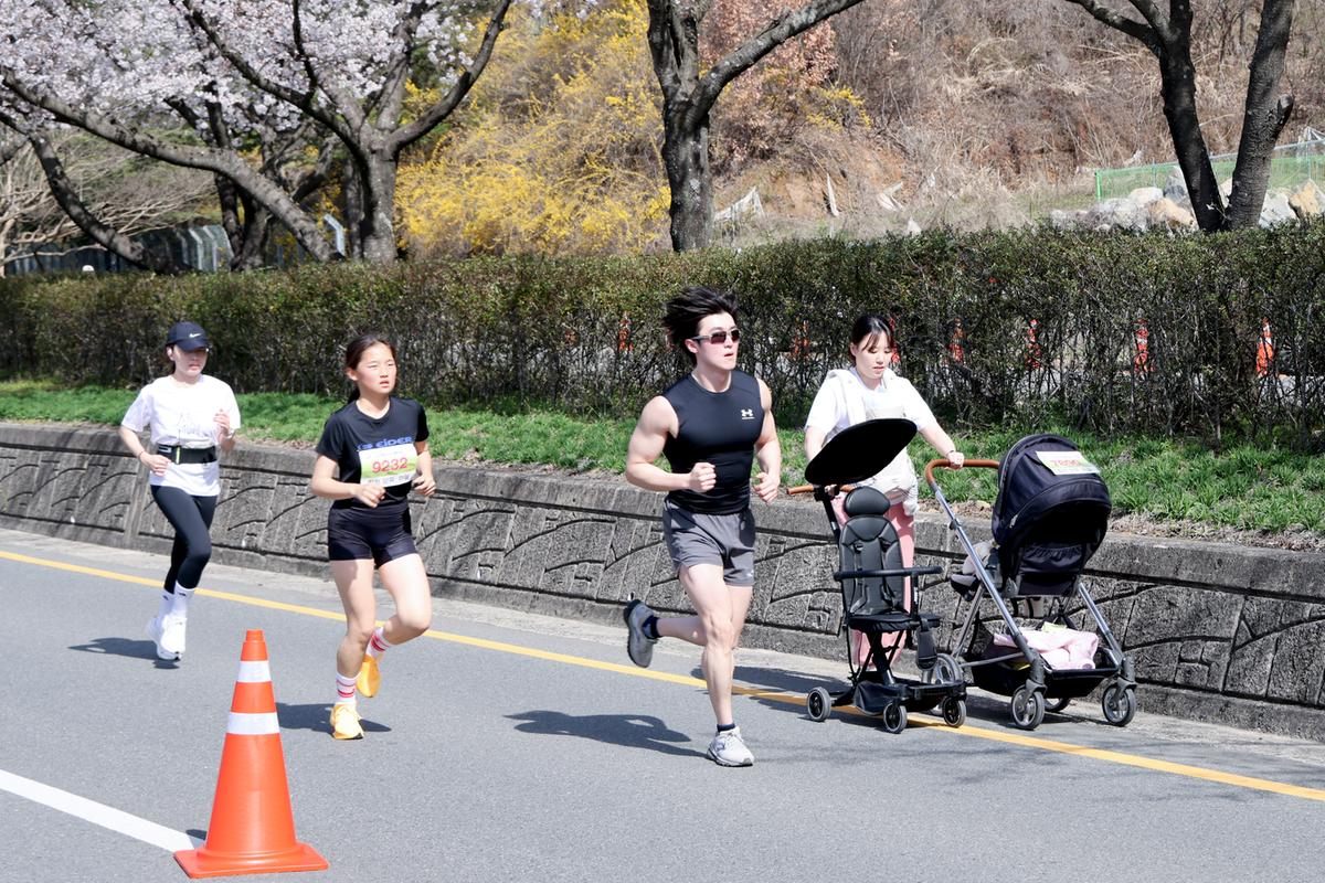 제23회 합천 벚꽃마라톤대회1