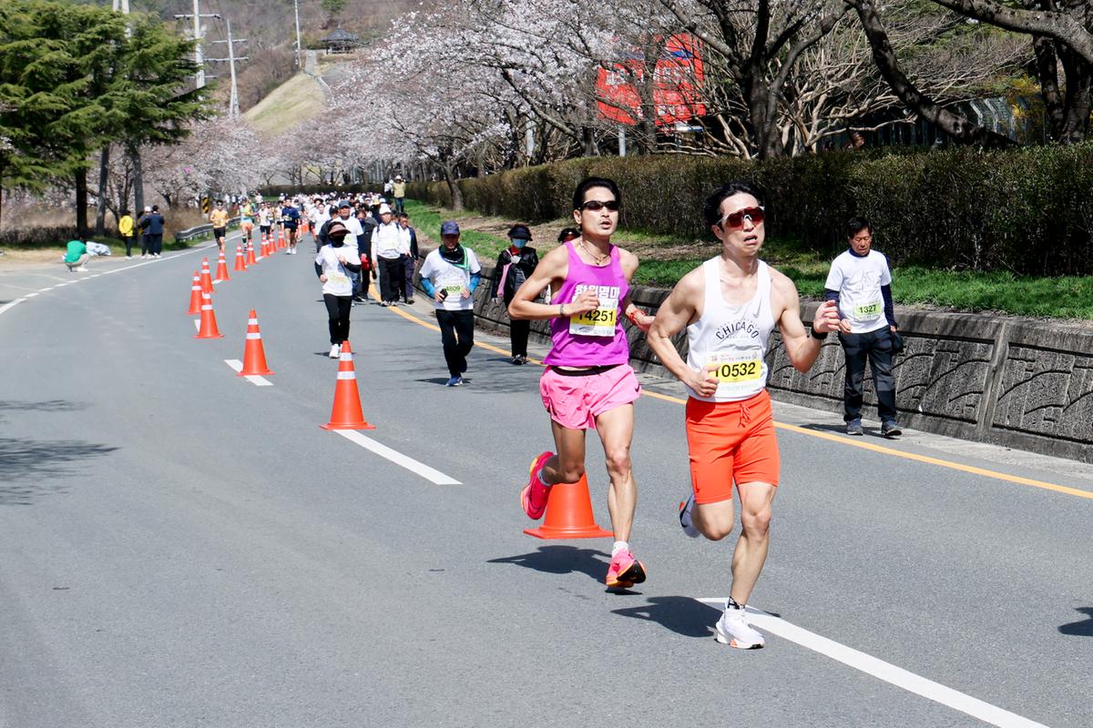 제23회 합천 벚꽃마라톤대회1